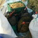 두현농장 이미지