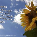 청수8로 이미지