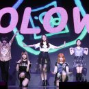 욜로와 이미지