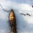 여주-0302 네이버블로그