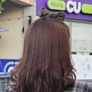 뮤즈헤어갤러리 이미지