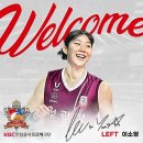 금일인삼
