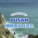 해파랑길 | 가을 부산 트래킹 코스 추천! 해파랑길 1코스 후기🌊🍁