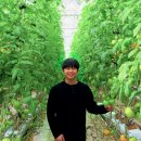 산자락영농조합법인 이미지