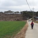 판관오리 이미지