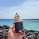 제주첫날두근 이미지