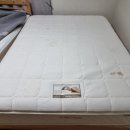 진아리채세탁 이미지