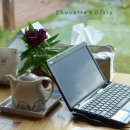 이리스펜션 | 제주여행 9. 제주도 독채 펜션, 표선 &lt;이리스&gt;에서 2박3일 머물다.