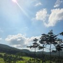 황화정리 클린하우스 | [골프일기]논산 아리스타cc 라운딩.후기.성장일기맞어??