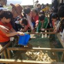 풀내음농장 이미지