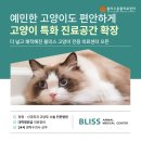 블리스 동물의료센터 | 평택동물병원 블리스동물의료센터 고양이 특화 진료공간 확장