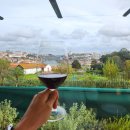 비눔(Vinum) 이미지