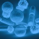 광교초교 이미지