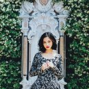 미즈하라 키코 카카오 검색결과