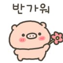 배스킨라빈스대전한남대점 네이버블로그