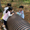 오음초등학교병설유치원 이미지