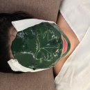 동래구건강생활지원센터 | 부산 동래 피부관리 더노블메디센터 홍조 얼굴 열감 내리기 스피루리나 베르도소 후기