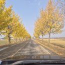 망해사 | 김제 가볼만한곳 망해사 | 탁 트인 바다 뷰 사찰 드라이브