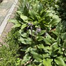 앤엠의원 이미지