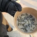 봉길대왕암(문무대왕릉) 이미지