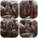 손선희 | 신선한 고기를 택배로 직거래 오늘은 고기파티