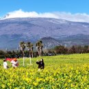 남원읍-18 이미지