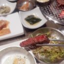 고려의숲 이미지