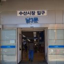 남선장 이미지