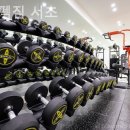 리스펙짐 이미지