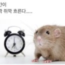 (주)복은 이미지