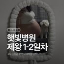 7층애약국 | D-1 초산모 햇빛병원 응급제왕 출산 후기 (1일차~2일차)