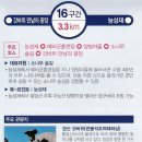 팔공산 둘레길 16구간 이미지