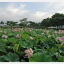 논산종합관광안내소 이미지