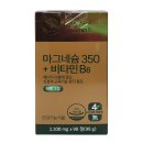 더블유엘비에프 티스토리