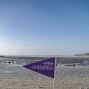 서천해양캠핑장 | [서천] 1박2일 서천갯벌 세계유산 캠프 1일차 갯벌 탐사