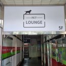 펫라운지 애견유치원 애견호텔 애견미용 이미지