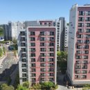 라인행정사 이미지