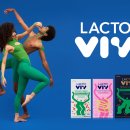 영바이브 이미지