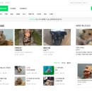 미션디자인 이미지