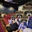 시간을 파는 상점 | 20260523 대학로 연극 시간을 파는 상점 관람 후기