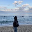 (주)그린서림 | 만칼로리 챌린지, 나는솔로, 그리고 강릉 여행