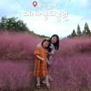대저생태공원 입구(대저1동 2314-1) | 부산 대저생태공원 핑크뮬리 위치 주차장 버베나 팜파스 10월 가볼만한곳
