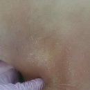 (주)쉬즈케어 | 산전산후전문업체에서 산후관리 받았어요 쉬즈맘케어홈 후기