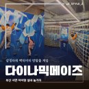 세정타워 앞 횡단보도 | 부산 아이랑 놀거리 삼정타워 액티비티 게임 다이나믹메이즈