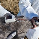 두루미네 이미지