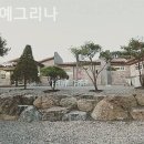 캠프예그리나 이미지