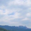 소나무공원 이미지