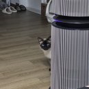 언제나 사랑할개 | 잎새달(2) 주간일기 │ 용납하지 말 것, 기억할 것, 사랑할 것.