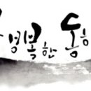 나무와 해(海) 이미지