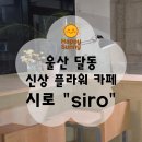 카페시로 | 울산 감성카페 시로 후기🌿 꽃집과 함께하는 조용한 힐링 공간